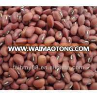 Northeast China red cowpea