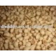 new crop white cowpea