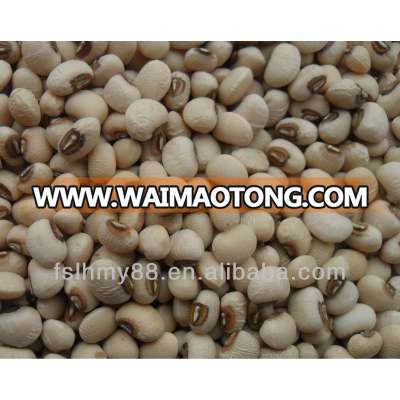 Northeast China pink cowpea