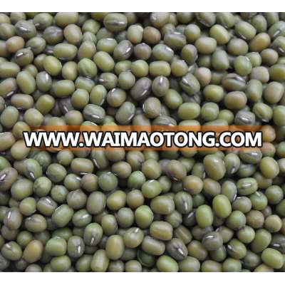 Myanmar green mung bean