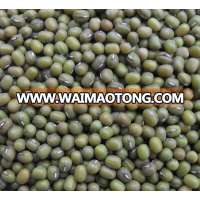 Myanmar green mung bean