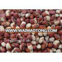 Northeast China speckled cowpea