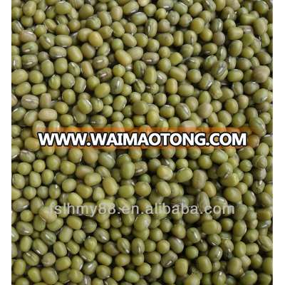 Northeast China green mung bean