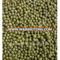 Northeast China green mung bean