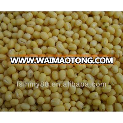 Northeast China peeled/skinless whole green mung bean