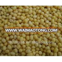 Northeast China peeled/skinless whole green mung bean