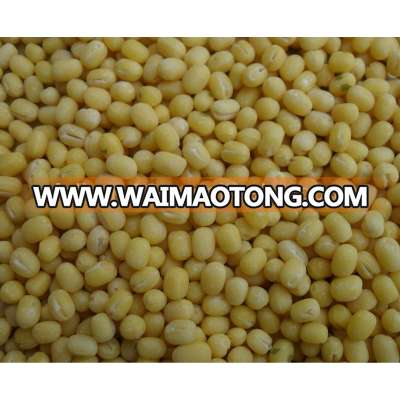 huskless green mung bean