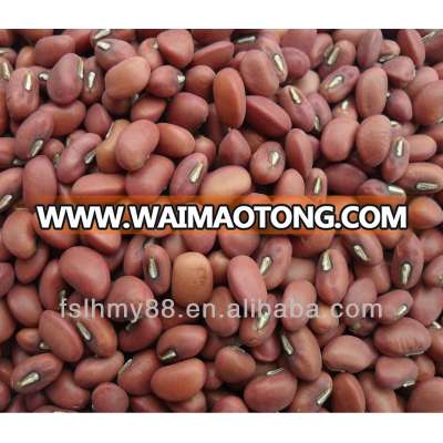 Northeast China red cowpea